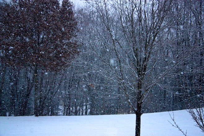 Snowfall